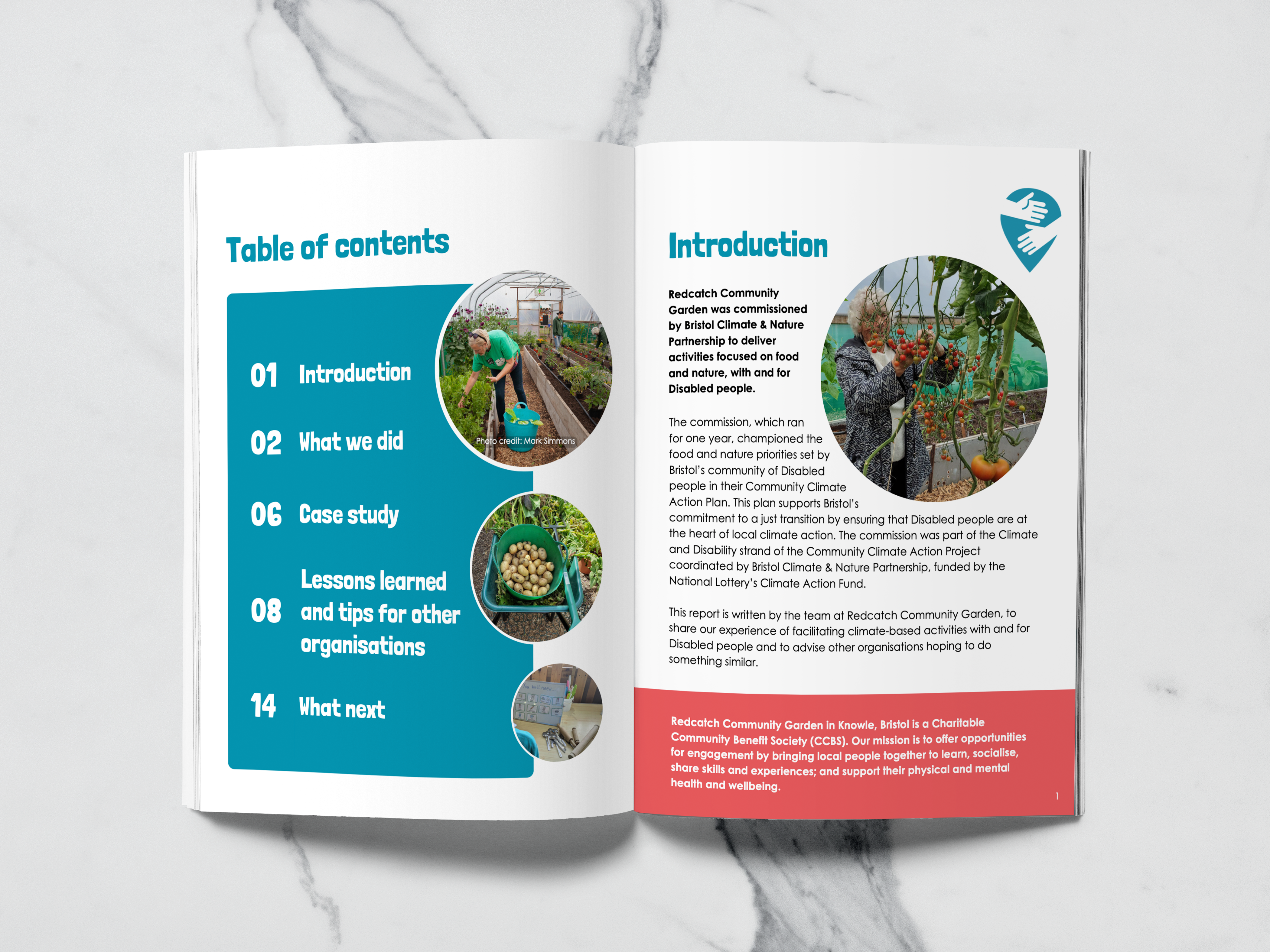Community Leadership Recommendations