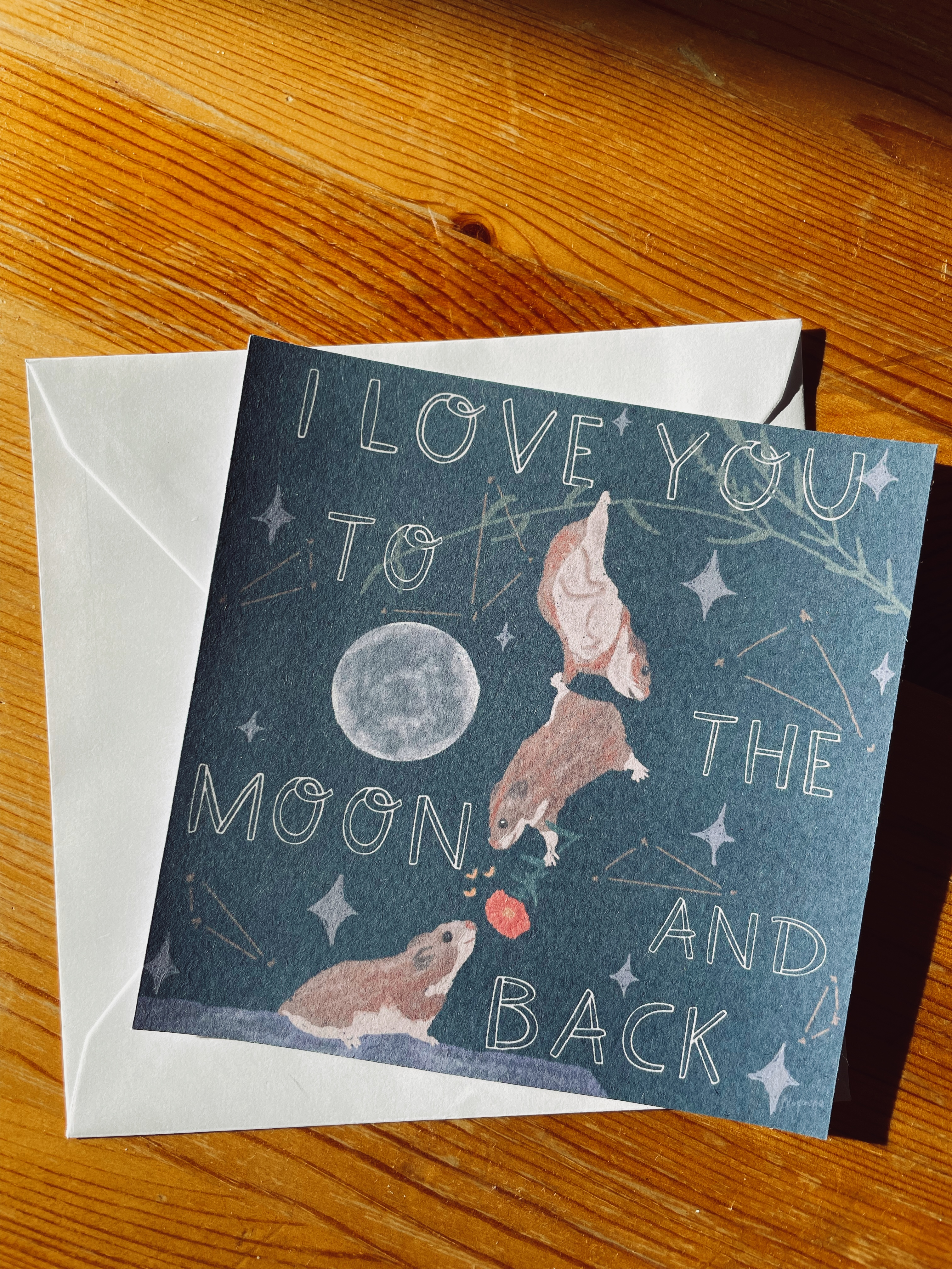 To The Moon & Back: Celestial Hamsters